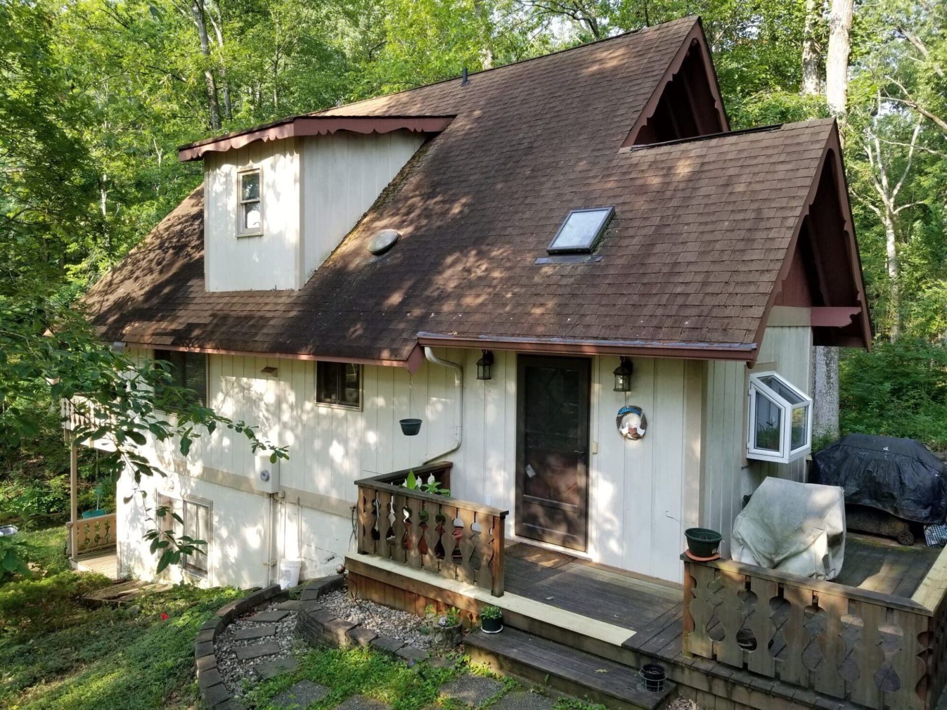 Roof Algae Before Treatment