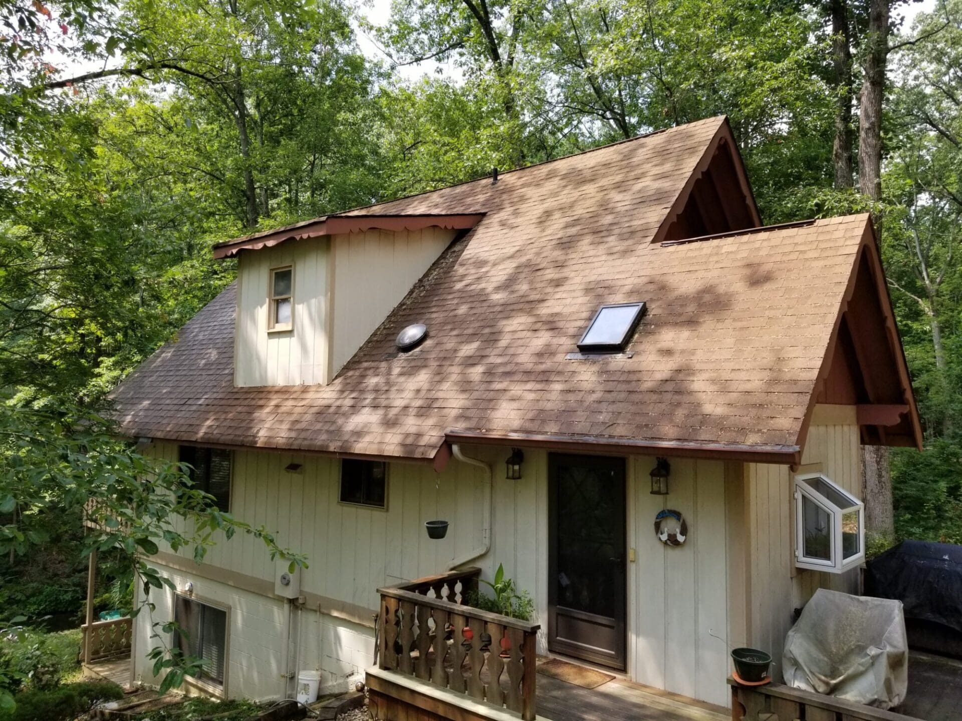 Roof Algae After Treatment